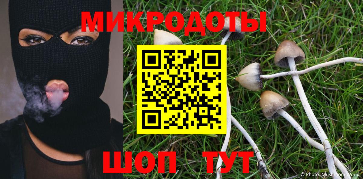 Галлюциногенные грибы Magic Shrooms Сафоново