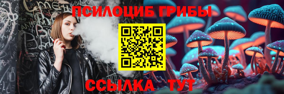 Галлюциногенные грибы GOLDEN TEACHER  Вход с VPN  Сафоново  Псилоцибиновые грибы Magic Shrooms 
